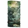 BUFF Tour De Cou ThermoNet Solid - Félin -Fizik Soldes buff tour de cou thermonet solid felin